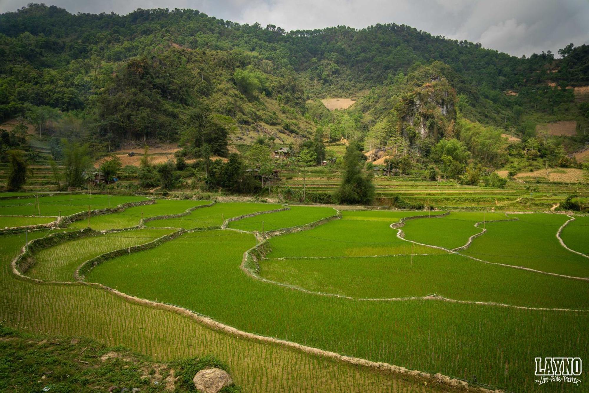 Quiri Hostel Ha Giang Lang Lap ภายนอก รูปภาพ